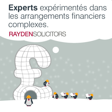 Experts expérimentés dans les arrangements financiers complexes